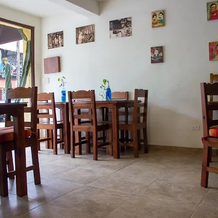 Eleven Playa Del Carmen By Bfh Hotel